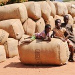 People in rural areas can benefit from rural mobile phone coverage to find out vital information on commodity pricing