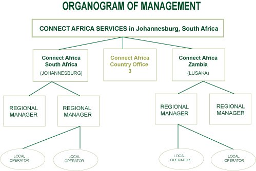 organogram | Connect Africa | image