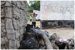 Deep remote areas have no connectivity boy in Zambia | Connect Africa | image