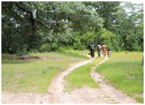 The community walk often long distances to the clinic community walk | Connect Africa | image