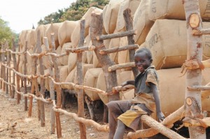boy on cotton bails | Connect Africa | image