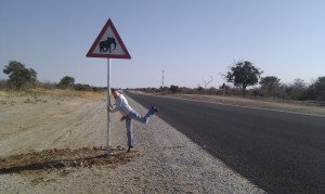 Elephant warning sign | connect africa | image