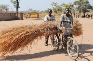 There is demand for mobile phone coverage in communities in rural areas in Zambia