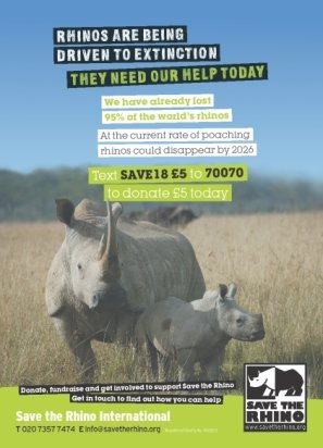 Save Rhino Poster | Connect Africa | image